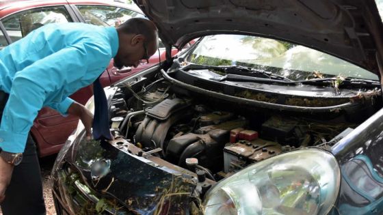 Crues subites : les récents modèles de voitures davantage vulnérables