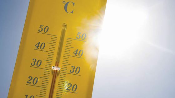 Inde : 33 agents électoraux morts à cause de la chaleur le dernier jour du scrutin dans un Etat