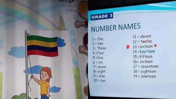 Cours éducatifs à la télévision : des erreurs notées