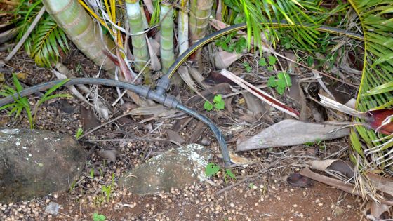 Central Water Authority : un horticulteur détourne 13 M de litres d'eau