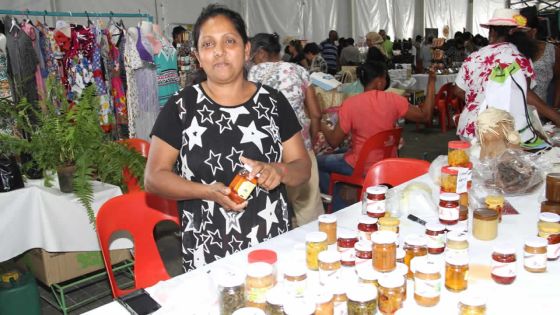 Fazila Jeewa-Daureeawoo : «Seules 2500 femmes entrepreneurs sont actives»