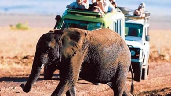 Tourisme régional : des séjours combinés entre Maurice et le Kenya