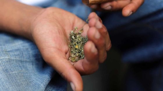 Commission d’enquête: 46 saisies de drogue recensées dans 25 collèges