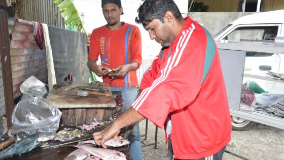 Imtiaz Mahomedbooram : «L’avenir est dans les poissons»