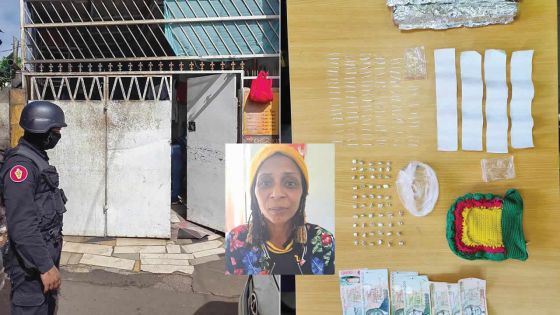 Batterie Cassée, Roche-Bois : une présumée dealeuse de drogue coffrée