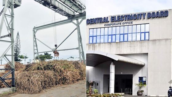 Énergies renouvelables - Projets solaires : négociations entre Rose-Belle Sugar Estate et le CEB
