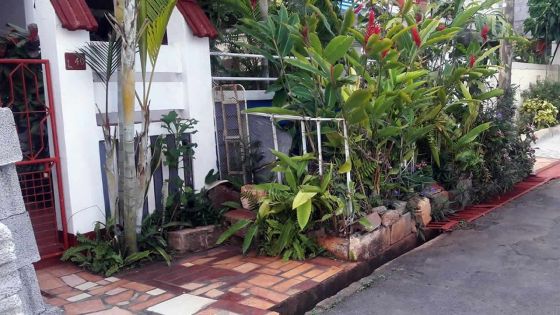 À La Tour Koenig : une famille aménage un jardin sur le trottoir