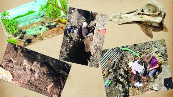 Ossements du Dodo : Mare-La-Chaux nous livre ses secrets