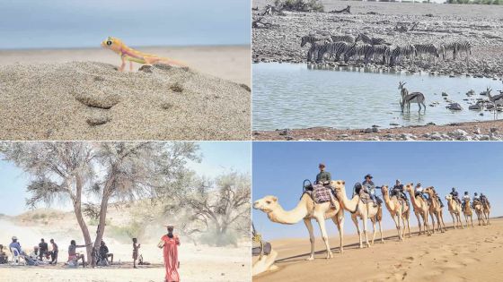 Namibie : le diamant de l’Afrique australe