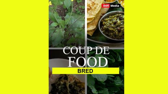 [Coup de Food] Bred : on vous dit tout