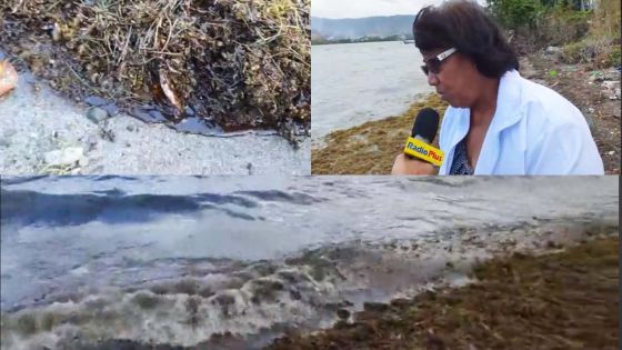 Pollution au mazout à Deux-Frères : «Nous vivons de la mer», dit Marie-Claire, effondrée 