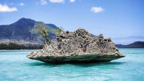 Noyade : une sortie familiale vire au drame