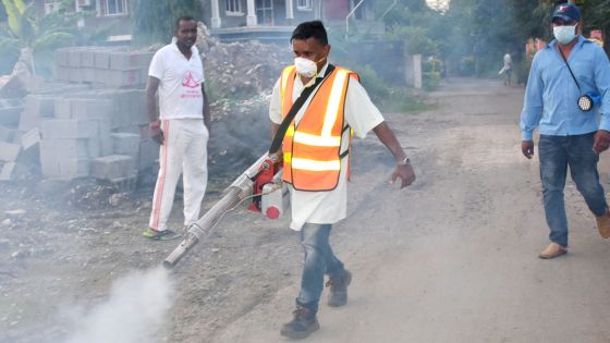 55 cas de dengue répertoriés