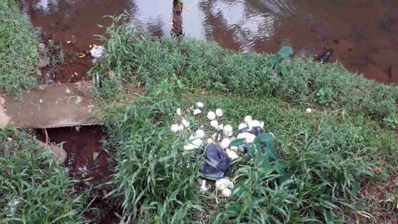 À Petit-Verger : incivisme quand tu nous tiens