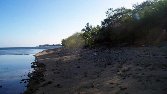 Projet de six hôtels à Les Salines Koenig : un premier promoteur obtient son permis EIA