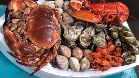 Consommation : hausse des prix pour les fruits de mer