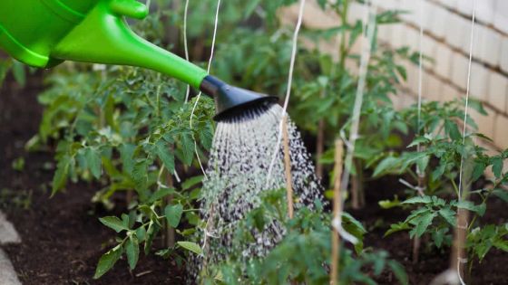 Agriculture : et si on passait au bio?