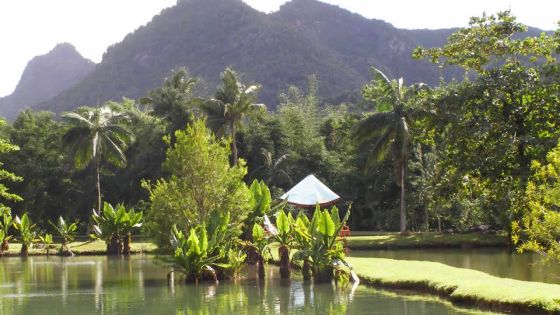 Propriété de l’État : le Val Nature Park renaîtra de ses cendres