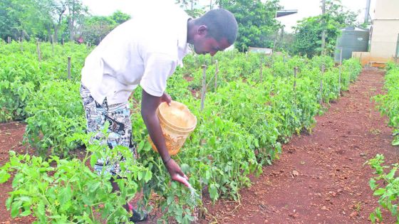A colloquium on evolution of agriculture in Mauritius 