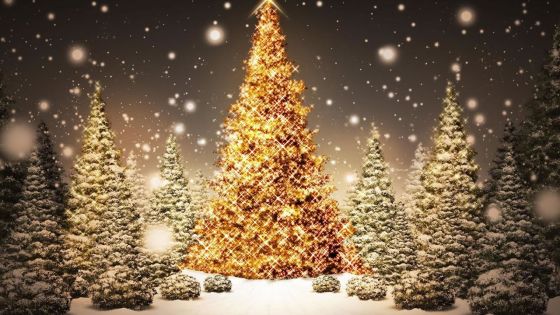 Achats et réveillon de Noël : la situation sanitaire bouleverse les habitudes 