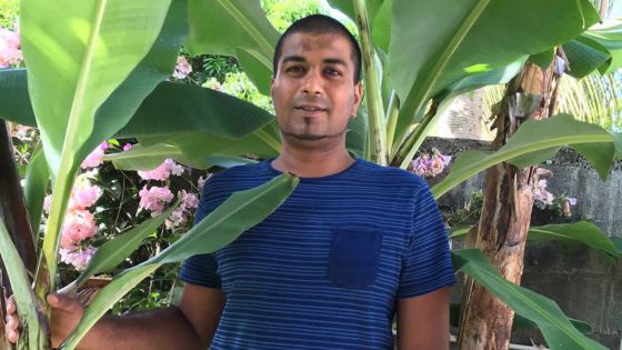 Ewen Ian Beekharry : de la banane traditionnelle à la banane bio