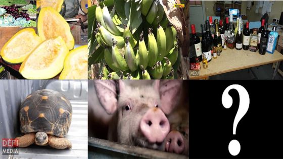 Drôles de vols ! : ces cas insolites qui peuvent être lourds de conséquences