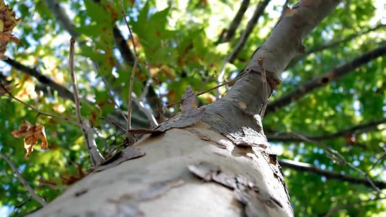 Transition été-hiver : 5 idées pour contrer le froid et rester en bonne santé