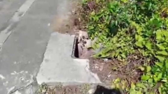 Attention danger sur la route