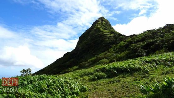 Montagne du Pouce : quatre randonneuses victimes de vol