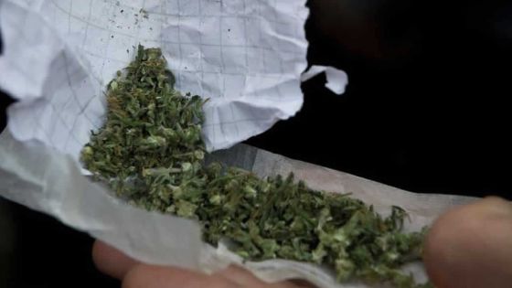Rajeunissement des trafiquants de drogue : un collégien arrêté pour trafic de cannabis