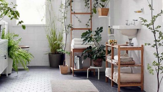 Déco : laissez les plantes vertes faire leur entrée chez vous