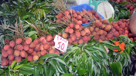 Baisse de production : l’exportation des letchis compromise