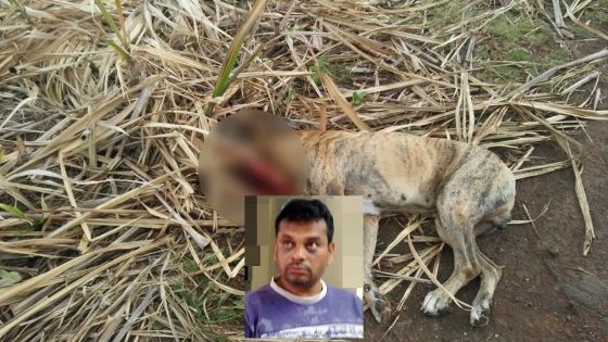 Dans le Sud : un chien froidement abattu avec un fusil de chasse