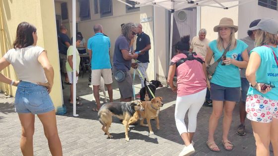 Campagne nationale de la MSAW : les chiens passent à la puce dans le Nord