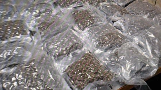 Plaisance : saisie de Rs 15,7 millions de cannabis compressé dans les bagages d’un jeune Britannique