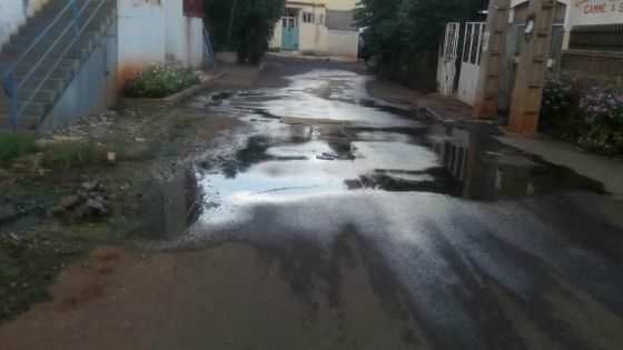 Problème sanitaire à Pointe-aux-Sables