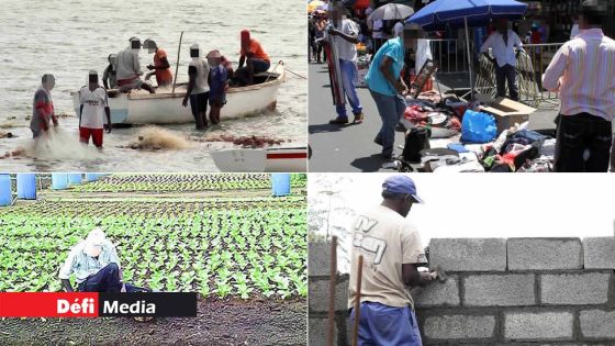 Budget 2020-21 : les propositions de Platform Ti-Travayer Malere