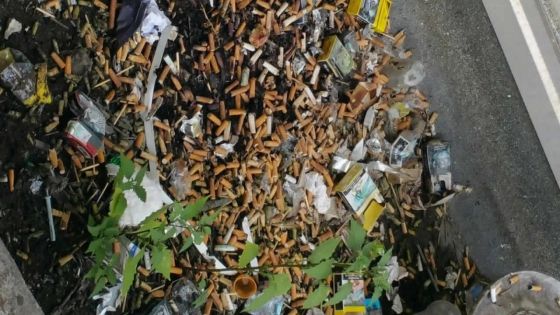 Mégots dans une ‘no smoking zone’