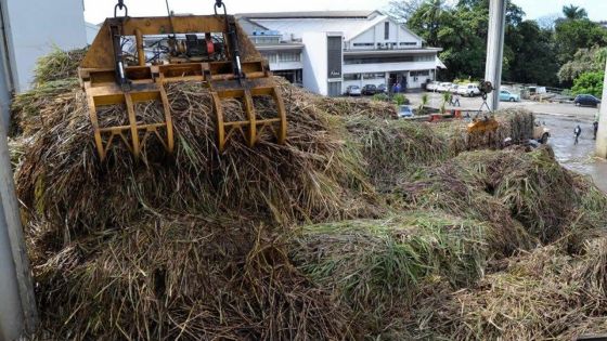 Cour suprême : une compagnie sommée de payer Rs 22,6 M au Syndicat des Sucres 