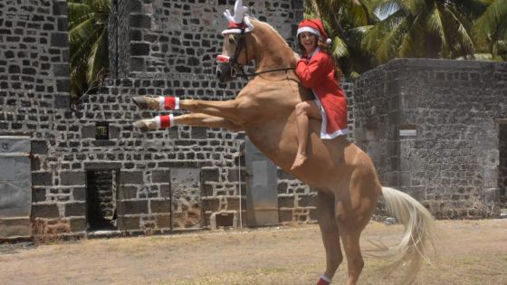 Le fabuleux Noël de Noémie Barragan