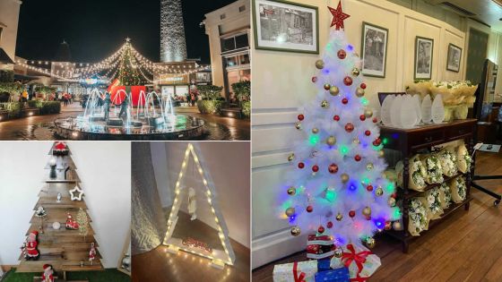 Sapins : des modèles variés et tendance