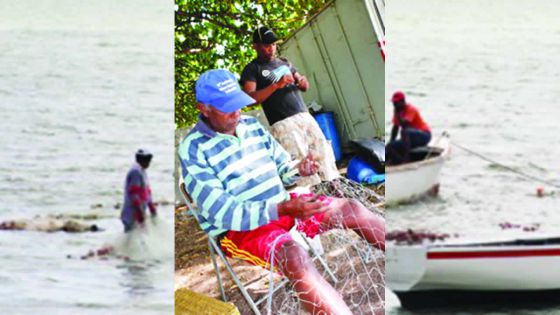 Une vie de pêcheur : balloté par les vagues de l’indifférence