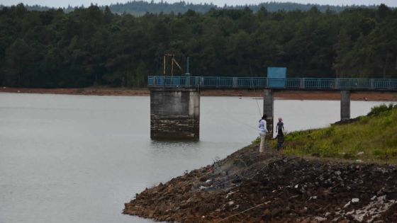 Un seul réservoir rempli à 100 %