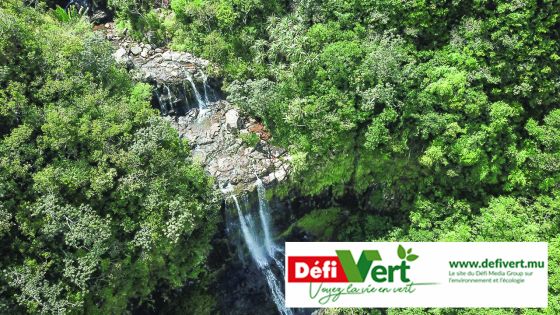 Le Défi Vert : recyclage, découverte et projets verts au rendez-vous 