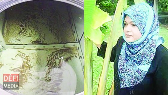 Smart Cleaning Services : solution originale  pour le nettoyage des réservoirs et des terrains en friche