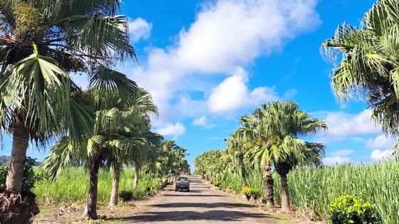 À Sans-Souci : voyage dans le temps