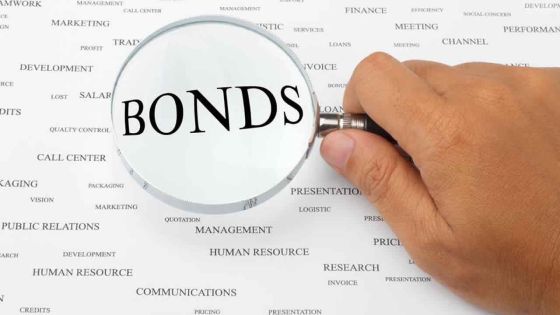 Non-Public Sector Bodies to invest surplus funds : could Treasury Certificates contribute to improve cash management?