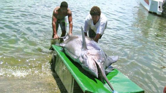 Mauritius hosts Fisheries Agreement meeting