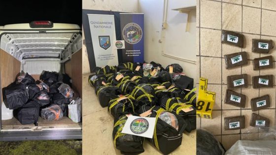 À La Réunion : saisie de 148 kg de cannabis destinés à Maurice