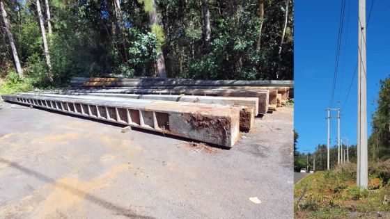 Après le décès de deux pèlerins en février 2023 : le CEB repositionne des câbles à haute tension à Mare-Longue